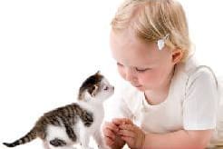 Young girl with kitten