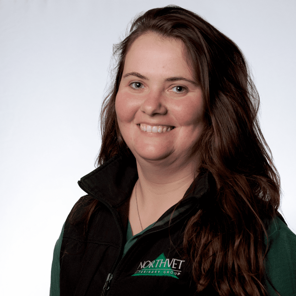 Northvet AI technician: Louise Dearness