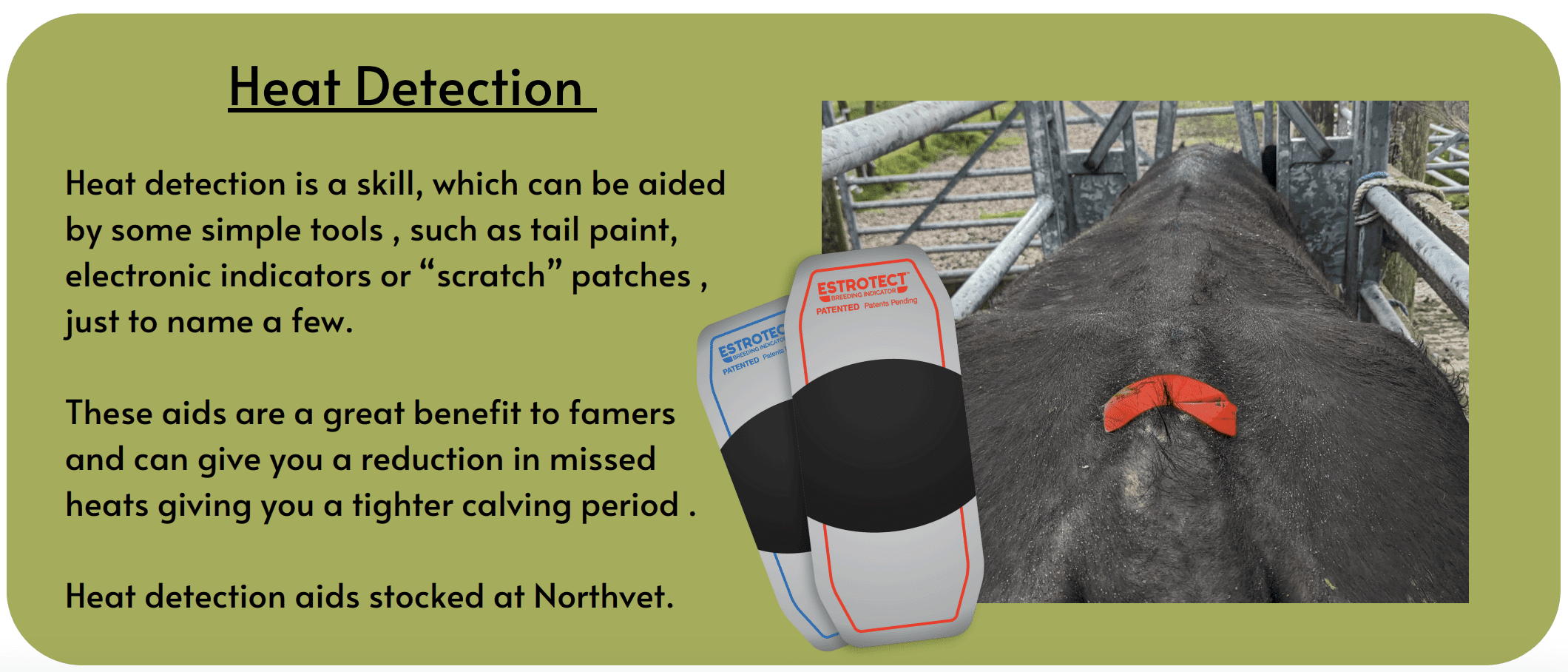 Northvet OCBS Heat detection